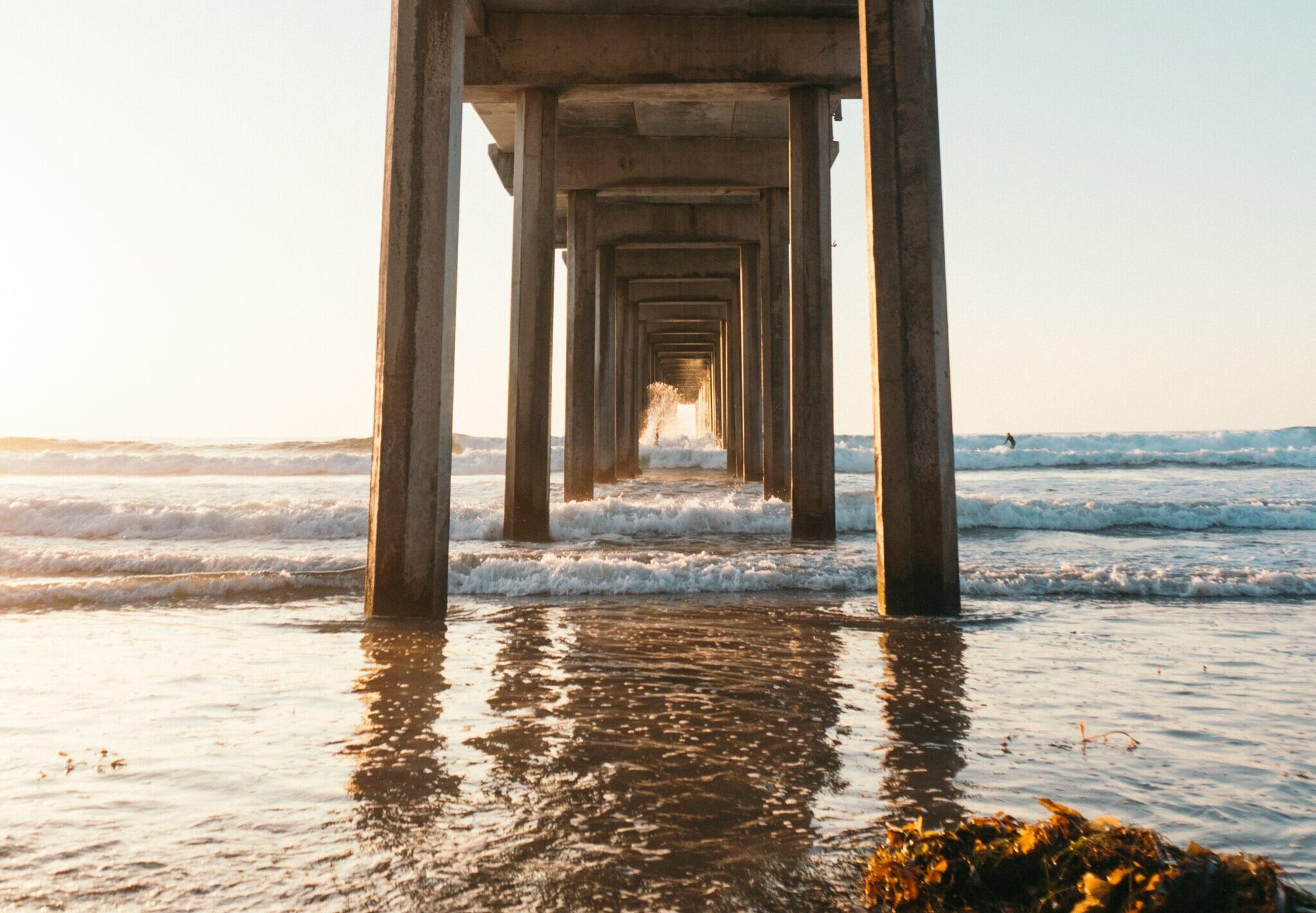 michael-shannon-i_WM2qyuEEE-unsplash-1-scaled-e1711739268245.jpg